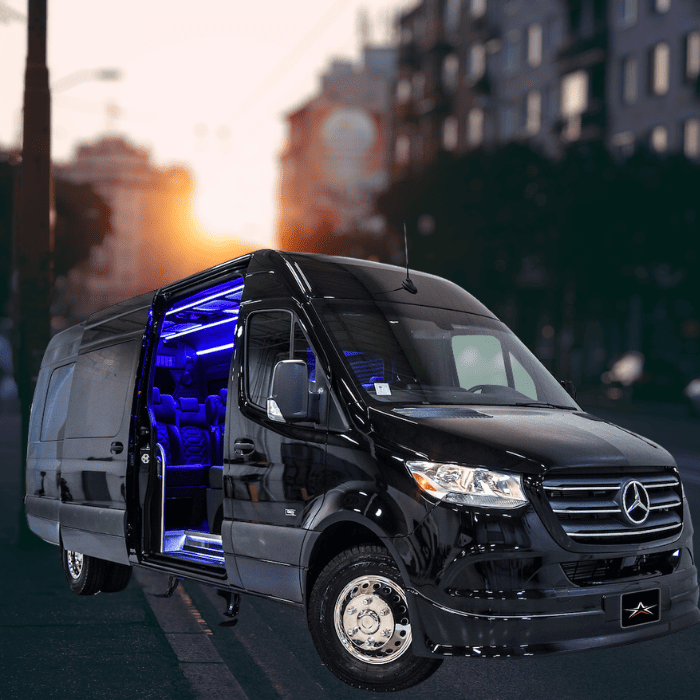 Mercedes-Benz Sprinter Executive